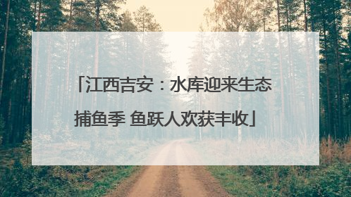 江西吉安：水库迎来生态捕鱼季 鱼跃人欢获丰收