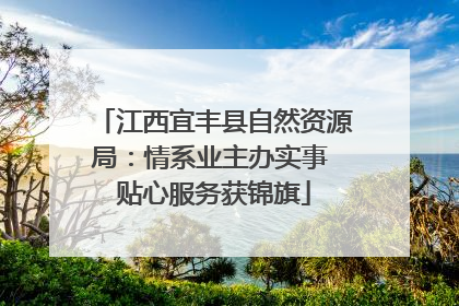 江西宜丰县自然资源局：情系业主办实事 贴心服务获锦旗