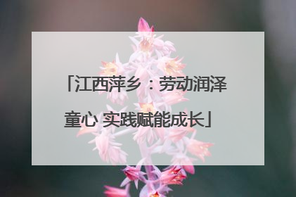 江西萍乡：劳动润泽童心 实践赋能成长