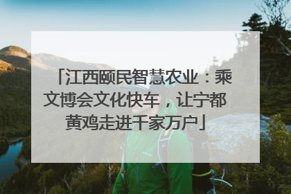 江西颐民智慧农业：乘文博会文化快车，让宁都黄鸡走进千家万户