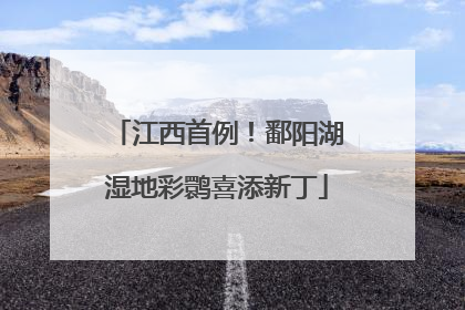江西首例！鄱阳湖湿地彩鹮喜添新丁