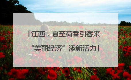 江西：夏至荷香引客来 “美丽经济”添新活力
