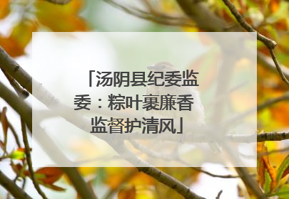 汤阴县纪委监委：粽叶裹廉香 监督护清风