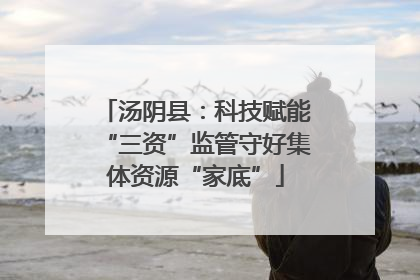 汤阴县：科技赋能“三资”监管守好集体资源“家底”