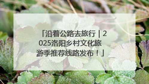 沿着公路去旅行｜2025洛阳乡村文化旅游季推荐线路发布！