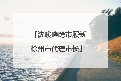 沈峻峰跨市履新徐州市代理市长