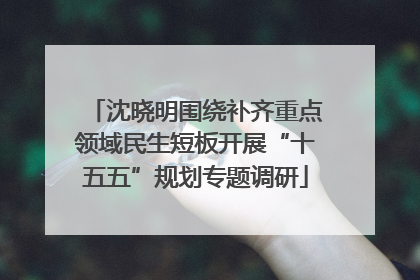 沈晓明围绕补齐重点领域民生短板开展“十五五”规划专题调研