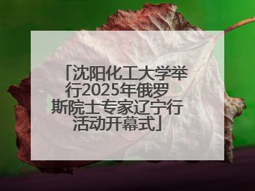 沈阳化工大学举行2025年俄罗斯院士专家辽宁行活动开幕式