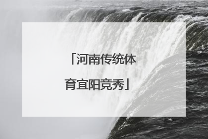 河南传统体育宜阳竞秀