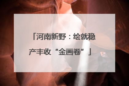 河南新野：绘就稳产丰收“金画卷”