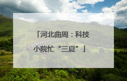 河北曲周：科技小院忙“三夏”