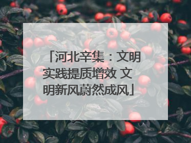 河北辛集：文明实践提质增效 文明新风蔚然成风
