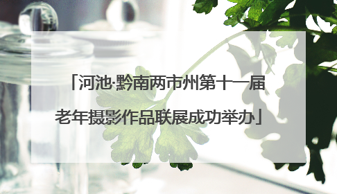 河池·黔南两市州第十一届老年摄影作品联展成功举办