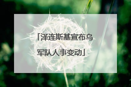 泽连斯基宣布乌军队人事变动