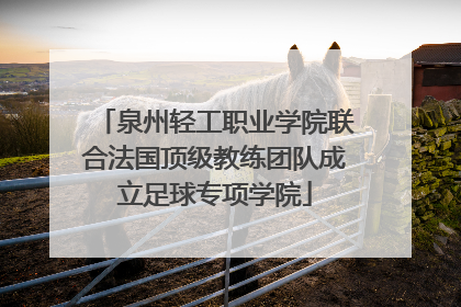 泉州轻工职业学院联合法国顶级教练团队成立足球专项学院