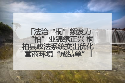 法治“桐”频发力 “柏”业锦绣正兴 桐柏县政法系统交出优化营商环境“成绩单”