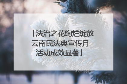 法治之花绚烂绽放 云南民法典宣传月活动成效显著