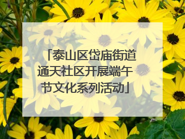 泰山区岱庙街道通天社区开展端午节文化系列活动