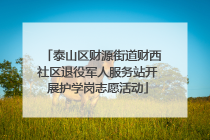 泰山区财源街道财西社区退役军人服务站开展护学岗志愿活动