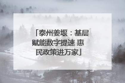 泰州姜堰：基层赋能数字提速 惠民政策进万家