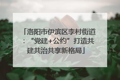 洛阳市伊滨区李村街道：“党建+公约”打造共建共治共享新格局