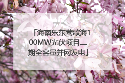 海南乐东莺歌海100MW光伏项目二期全容量并网发电
