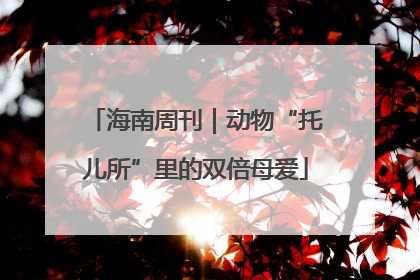 海南周刊｜动物“托儿所”里的双倍母爱