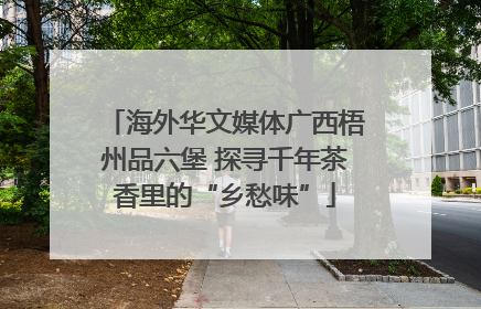 海外华文媒体广西梧州品六堡 探寻千年茶香里的“乡愁味”
