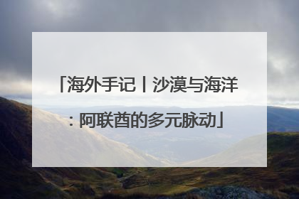 海外手记丨沙漠与海洋：阿联酋的多元脉动