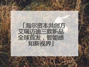 海尔资本共创方艾瑞迈迪三款新品全球首发，智能感知新视界