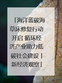 海洋蓝碳海草床修复行动开启 循环经济产业助力低碳社会建设丨新经济观察