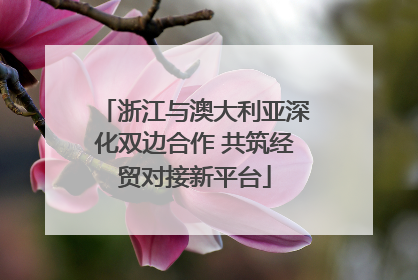 浙江与澳大利亚深化双边合作 共筑经贸对接新平台