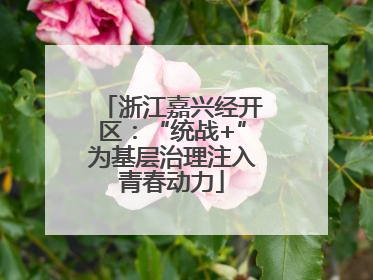 浙江嘉兴经开区：“统战+”为基层治理注入青春动力