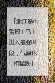 浙江暴雨警报！马上进入最强时段，气温也将猛跌
