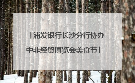 浦发银行长沙分行协办中非经贸博览会美食节