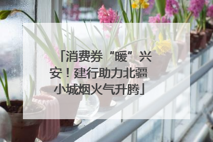 消费券“暖”兴安！建行助力北疆小城烟火气升腾