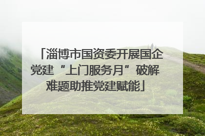 淄博市国资委开展国企党建“上门服务月”破解难题助推党建赋能