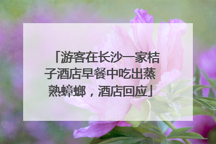 游客在长沙一家桔子酒店早餐中吃出蒸熟蟑螂，酒店回应