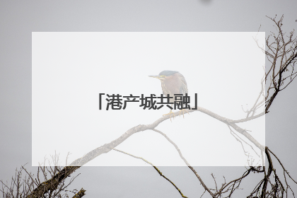 港产城共融