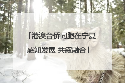 港澳台侨同胞在宁夏感知发展 共叙融合