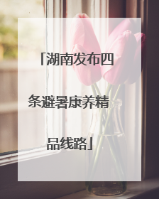 湖南发布四条避暑康养精品线路