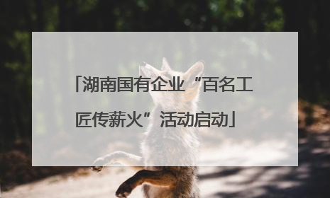 湖南国有企业“百名工匠传薪火”活动启动