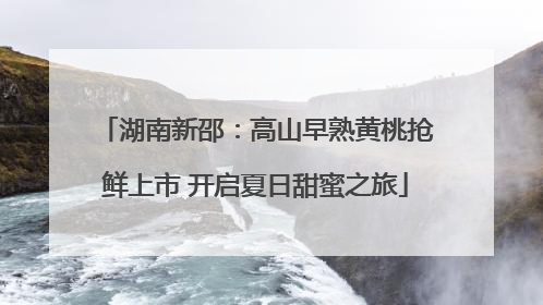 湖南新邵：高山早熟黄桃抢鲜上市 开启夏日甜蜜之旅