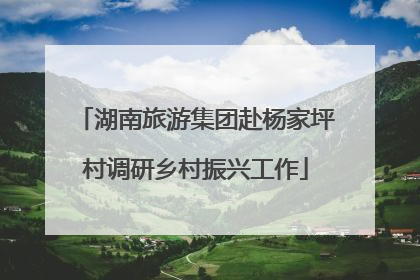 湖南旅游集团赴杨家坪村调研乡村振兴工作