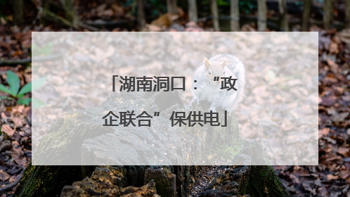 湖南洞口：“政企联合”保供电