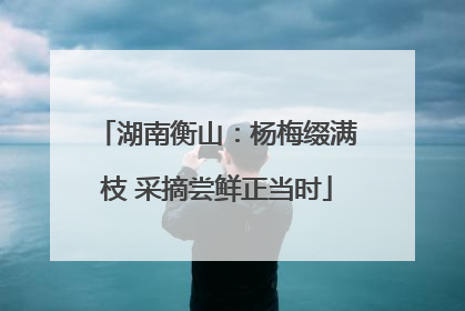 湖南衡山：杨梅缀满枝 采摘尝鲜正当时