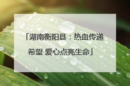 湖南衡阳县：热血传递希望 爱心点亮生命