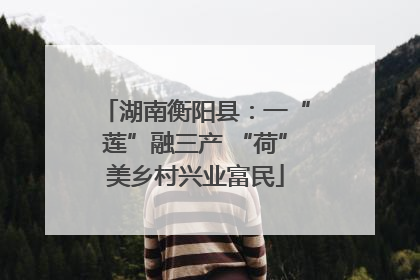 湖南衡阳县：一“莲”融三产 “荷”美乡村兴业富民