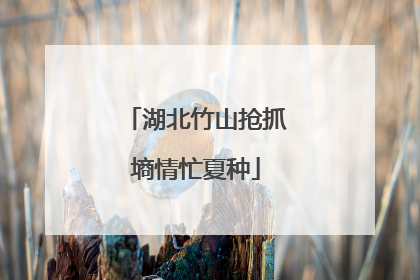 湖北竹山抢抓墒情忙夏种