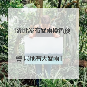 湖北发布暴雨橙色预警 局地有大暴雨